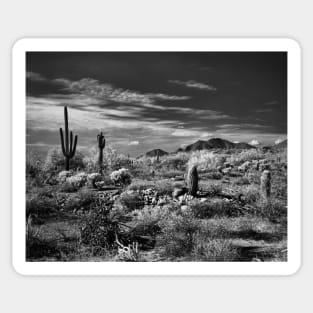 McDowell Sonoran Preserve, Scotsdale Arizona Sticker